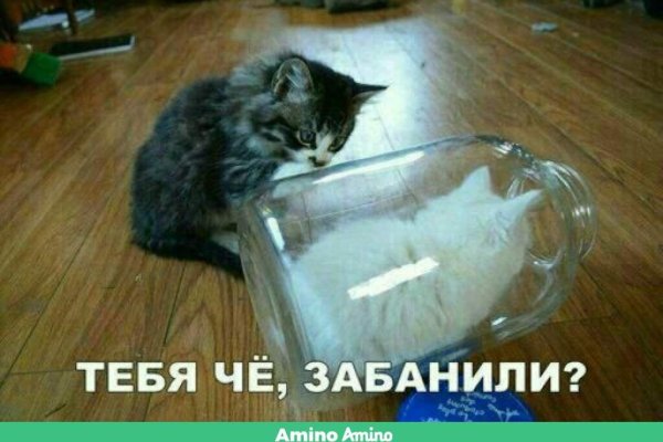 Оригинальная ссылка на магазин кракен