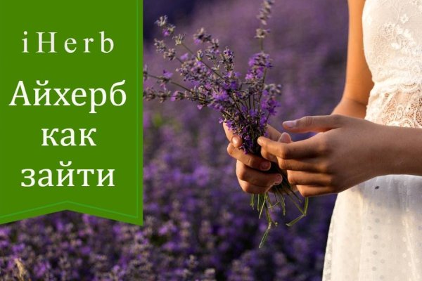 Kraken рабочее зеркало onion
