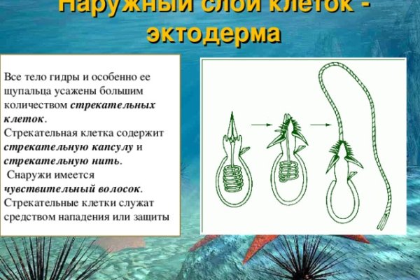 Kraken зеркало стор