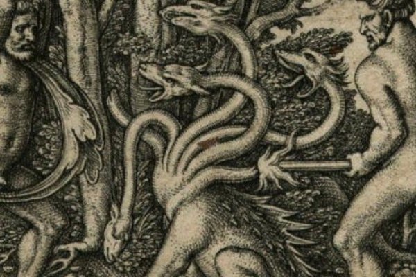 Kraken 22at