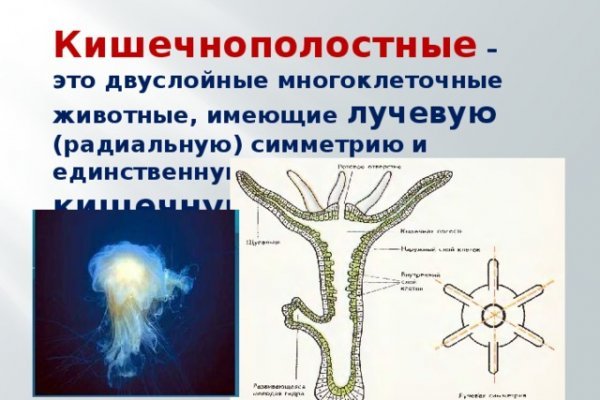 Кракен маркетплейс тор