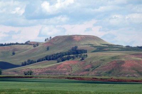 Забыл пароль от кракен