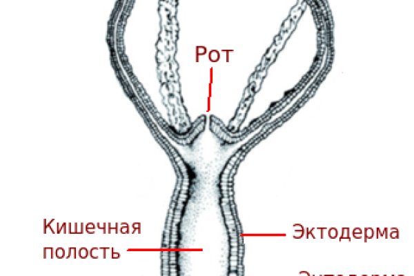 Кракен орг